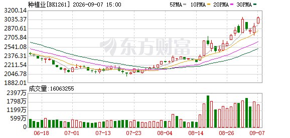 概率超90%！这一警报拉响 A股“黑马板块”迎来爆发窗口
